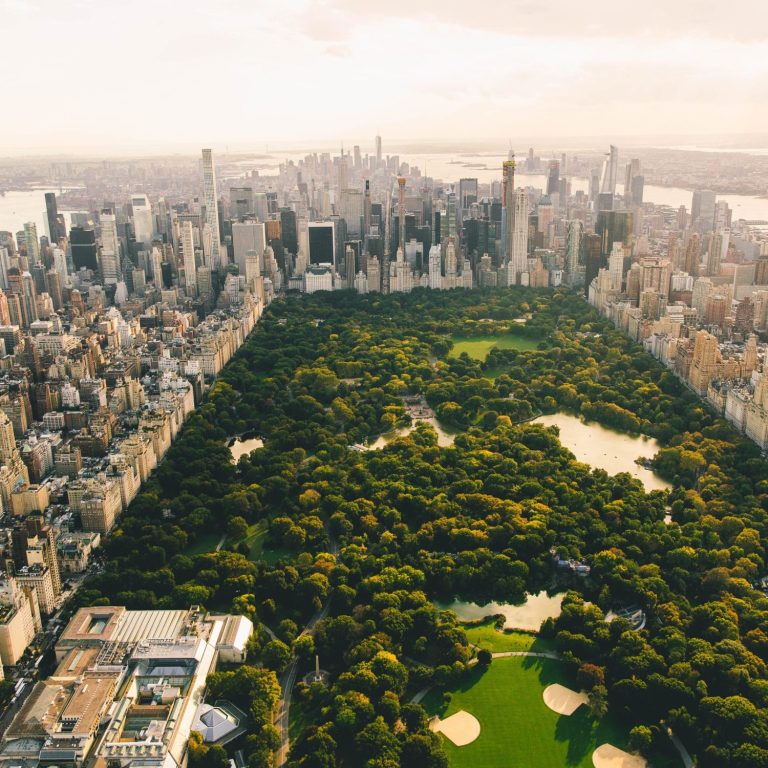 Donna aggredita e violentata a Central Park, la polizia cerca il responsabile